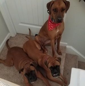 Meet your Posher, Stacy